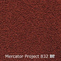 Mercator Project-Econyl 832